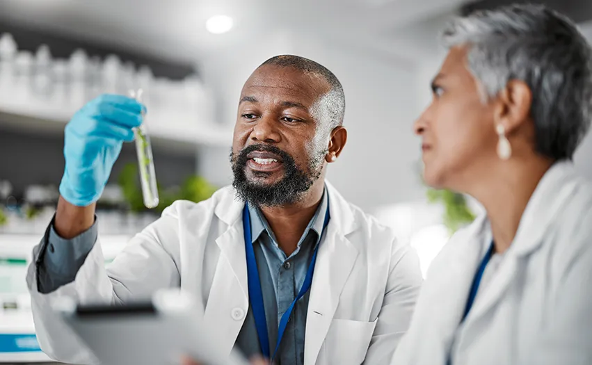 Two researchers looking at a test-tube in a laboratory (Photo)