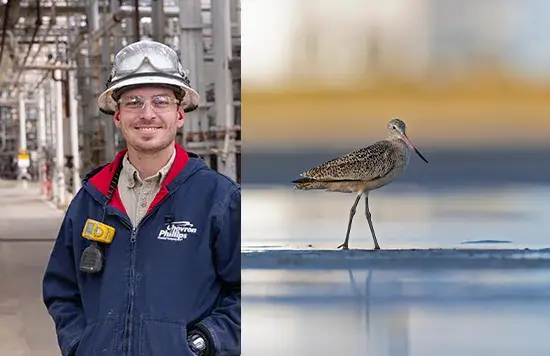 A collage of two pictures. One shows a male employee standing on a facility site wearing a helmet and protective glasses and the other a bird standing in water